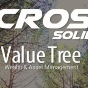 V Cross Solidario Value Tree